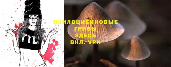 2c-b Балахна