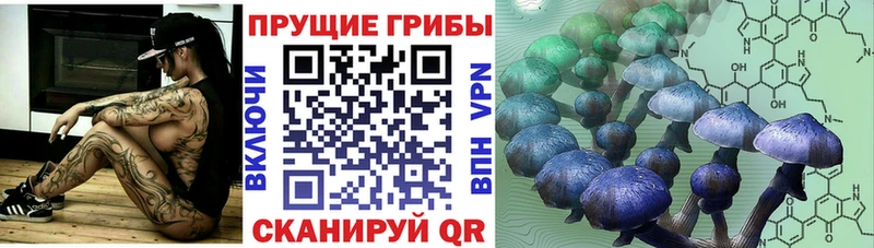Галлюциногенные грибы MAGIC MUSHROOMS  Купить  Новоаннинский 